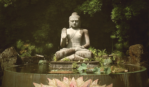 Buddha statue in a pond