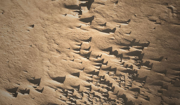 Photograph of tiny sand dunes
